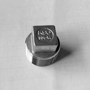 China Stainless Square Head Plug Threaded , ASTM A351 SS Tube Fittings factory
