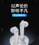 Touch Control Noise Cancelling Sport Earbuds / X20s TWS Bluetooth V5 0