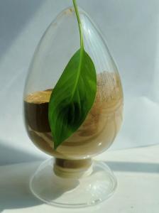 China No Odour Lignosulfonate Admixture CAS 8061-51-6 Water Reducing Agent factory