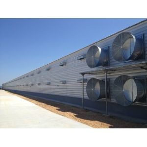 Q235B Galvanized Steel Poultry House with Bolted Connection