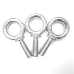 Plain Finish Stainless Steel G279 Eye Bolts Ring Bolt for Wind Turbine
