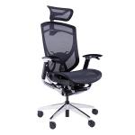 All Mesh Aluminum Base Class 4 Gas Lift Luxury Ergonomic Executive Chair​