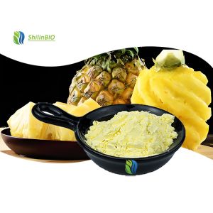 China Pineapple Fruit Powder on sale