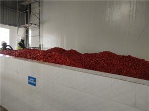China SGS Tomato Processing Line 2000T/D Concentrating Ketchup Processing Line factory