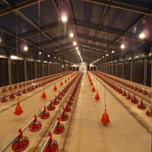Fireproof Steel Poultry House with Automated Ventilation System