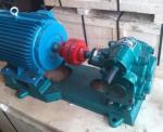 LCW-38/0.6 LCW-38/0.6 Marine Gear Oil Pump Transfer 38m3 H High Viscosity Roots
