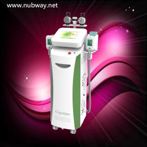 China RF cryolipolysis equipment / vacuum slimming beauty machine with Bottom Price factory