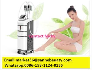 China Hot ! fat removal Cryolipo fat freezing machine factory