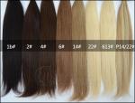 Straight Silver Real Hair Clip In Hair Extensions 100 g/pack 100% Human European