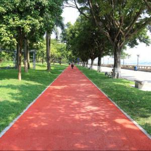 China IAAF Certified Prefabricated Running Track Rubber Jogging Track EPDM Particles factory