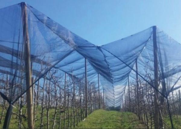 Garden Greenhouse Outdoor Mosquito Netting Climate Nets UV Stabilised For Long