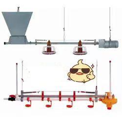 China Galvanized Chicken Raising Equipment Poultry Drinking Line Raised Chicken Waterer factory