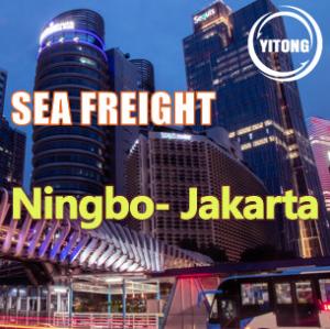 China NVOCC ISEA 9 Days Worldwide Sea Freight From China To Indonesia Jakarta factory
