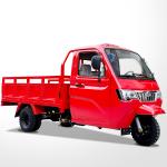 Motorized 2021 Type 250cc Water Cooling Closed Container Tricycle for Cargo