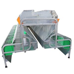 China Breeder 240 * 200 * 150cm Rabbit Cage , Rigid Wire Rabbit Cage With Tray factory