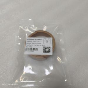 China Hyunsang Skid Steer Loader Parts Seal Kit SR220 250 260 factory