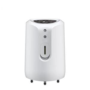 China 10 Liter Portable Oxygen Concentrator factory
