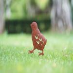 Outdoor Ground Metal Mini Decorative Garden Classical Chick Stake