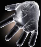 PE Polyethylene Disposable Food Handling Gloves Powder Free Lightweight