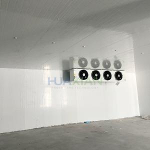 China Freezer/Chiller/Cold Modular Storage Room with Refrigeration Condenser Unit for Meat/Vegetables/Fish/Fr factory