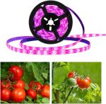 24v Grow Lights for Indoor Plants, Full Spectrum led Grow Light Plant Light for
