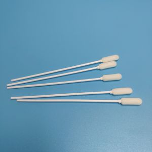 PP Stick Foam Sponge Head Disposable Sampling Swab White Color
