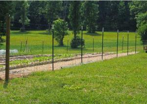 China Vineyard Studded Steel T Posts 1.33 Lb Per Foot For Fence factory
