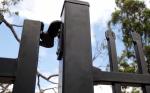 Garrison Fence Specification
