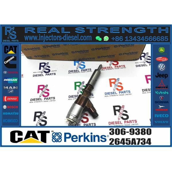 Cheap New 2645A734 Common Diesel Fuel Injector For CAT C6.6 312D Excavator Engine Parts 306-9380 10R-7672 2645A734