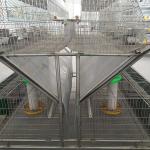 2400 * 2000 * 1500mm Farm Rabbit Cage Q235 Steel Wire / Plastic Material