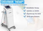 CE Approved china factory smartwave shockwave pain relief extracorporeal shock