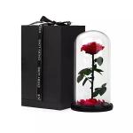 Huge rose Preserved rose in glass valentines day preserved rose gift