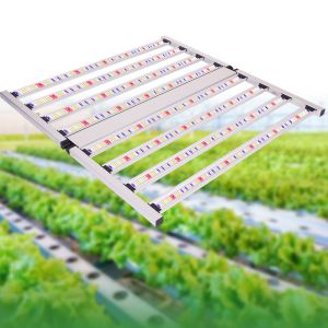 Commercial High Power LED Grow Lamp Full Spectrum Ultraviolet LED Grow Light 900W