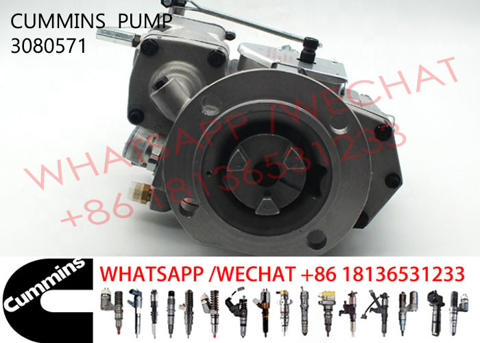 3080571 Cummins KTA19-C600 Diesel Engine Fuel Pump 3655884 4913582 3076130