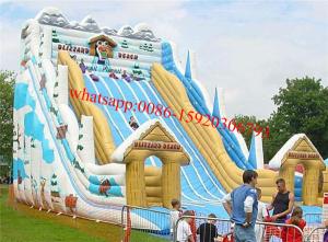 China giant snow slide inflatable factory