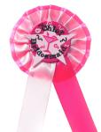 Manufacturer direct marketing horse iron cartoon chest, blank badge processing