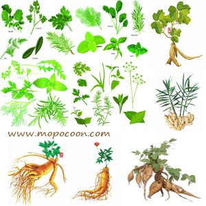 China Green Tangerine Peel Extract factory