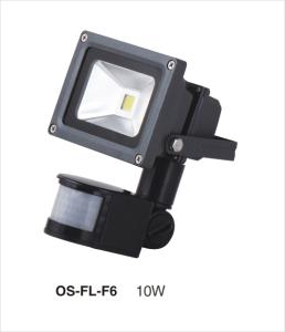 China LED Flood light PIR one ce rohs saa factory