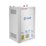 Small Natural Gas Generator 0.1Mpa 220V Industrial Portable Steam Generator