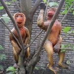Anti Rust Animatronic Animal Robot Animatronic Chimpanzee For Children