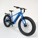 48V 17.5Ah 26*4.5 Fat Tire Snow Ebike Electric Mountain Bike 48V 1000W Ebike