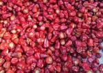 GMP Dried Red Chilli Peppers 2CM Dehydrated Lantern Pepper 2 Year Shelf Life