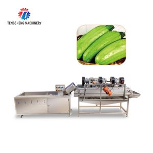 China Vegetables and Fruits Bubble Cleaning Vibration Air Drying Machine Production Line factory