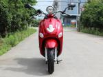Horizontal Engine Mini 50cc Motocross Bikes With 10" Aluminium Rim