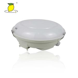 China Waterproof LED IP65 Ceiling Mounted Emergency Lights factory