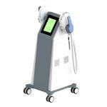 Double Head Electrotherapy Weight Loss Machines Firm Abs Weight Loss