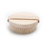 Cruelty Free Fiber Bristle Brush Massage Brush For Body Cellulite Exfoliating