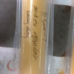 707-13-14591/707-13-14590 pc300-7 bucket cylinder