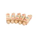 Montessori Phonetic Reading Blocks Educational Toys for 3 4 5 6 Year Old