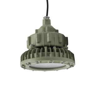 China Aluminum Alloy IP66 Explosion Proof LED Lighting Indoor / Outdoor Illumination factory